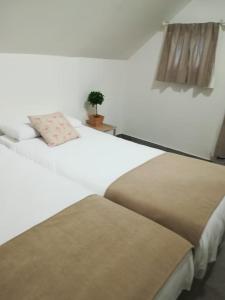1 dormitorio con 2 camas y una planta sobre una mesa en Apartamentos El Marques, en Málaga