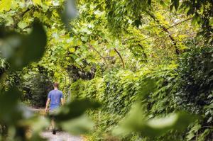 a man walking down a trail in the woods at ODELYA - Stadthotel im Park in Basel