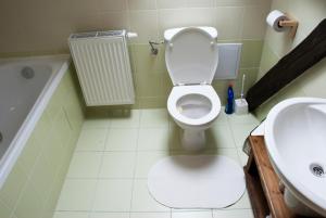 a bathroom with a toilet and a sink at Farma Moulisových in Nezvěstice