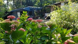 um jardim com flores e um galpão ao fundo em Kunstenaars Boshuisje Veluwe em Hoenderloo