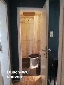 a bathroom with a toilet and a shower at Ferienwohnung VISHWAS in Trier