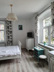 Телевизор и/или развлекательный центр в Lux Apartament ,,Górskie Widoki '' Karpacz Mountain Views