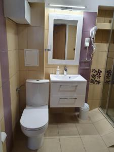 Ванная комната в Lux Apartament ,,Górskie Widoki '' Karpacz Mountain Views +17 фотографий