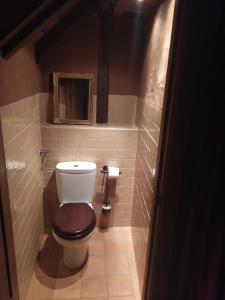 uma pequena casa de banho com WC e espelho. em Apartamento Al-Vivaque em Miranda del Castañar