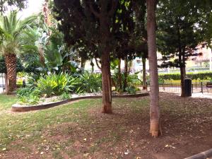 Vonkajšia záhrada v ubytovaní Cosy flat with excellent location in Valencia!