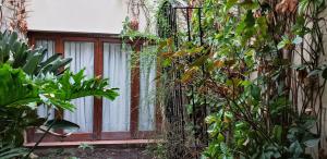 Zahrada ubytování La casa del Paseo