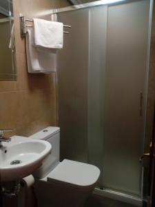 a bathroom with a toilet and a sink and a shower at Hostal Álvarez in Oviedo +29 photos