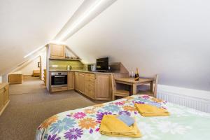 Kuchyň nebo kuchyňský kout v ubytování Apartmany Na Salasi