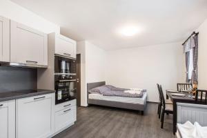 Kuchyň nebo kuchyňský kout v ubytování Apartmany Na Salasi