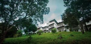 Zahrada ubytování The Lake View Munnar