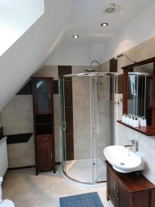 un bagno con doccia e lavandino di Ferienwohnung Ralswiek, Jarnitz 8 a Ralswiek