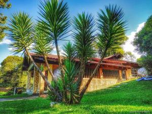 a house with two palm trees in front of it at Cantinho da Deca in São Francisco de Paula