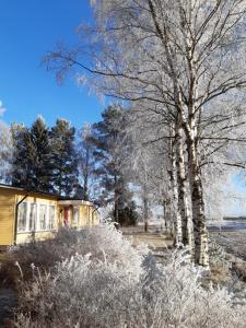 una casa en la nieve con un árbol en ANNA Jeppo Guesthouses, en Uusikaarlepyy