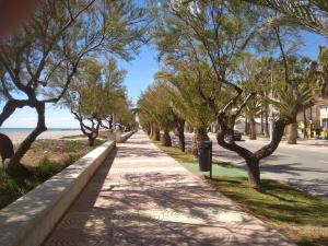 a sidewalk with trees on the side of a beach at Apartamento Moncofar playa in Moncófar