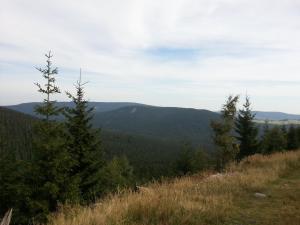Príroda v okolí apartmánu