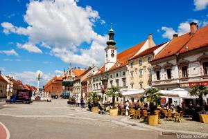 Gallery image of Guest House Pikapolonca in Maribor