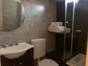 La salle de bains est pourvue de toilettes, d'un lavabo et d'une douche. dans l'établissement Apartment Lam62, à Bahía Blanca