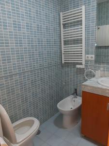 Baño de azulejos azules con aseo y lavamanos en Apartamentos Domus, en Sierra Nevada