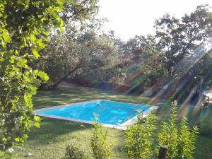 a swimming pool in a yard with trees at El Paso de las Cigüeñas in Candeleda