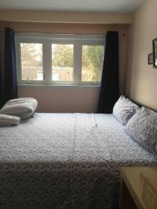 Cama ou camas em um quarto em Freeda's Place