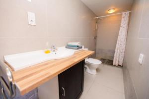 a bathroom with a sink and a toilet at Old Town Apartments in Alytus