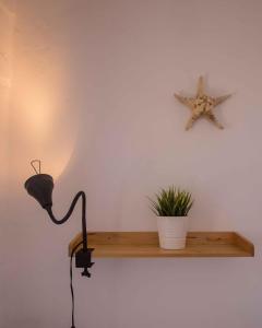 a lamp and a starfish on a shelf with a plant at Antiparos Vibes in Agios Georgios