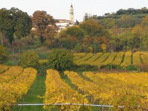 Fotografie z fotogalerie ubytování B&B Pontesello v destinaci Colognola ai Colli