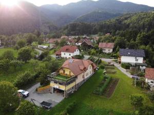 an aerial view of a house in a village at Apartment Beli Zajec in Mozirje