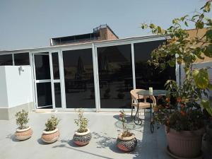 een patio met 4 potplanten en een tafel bij Pyramids View Inn in Caïro