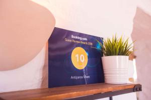 a box on a table with a potted plant at Antiparos Vibes in Agios Georgios