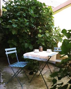 una mesa y sillas sentadas frente a un arbusto en L'Adele Bed & Breakfast, en Occimiano