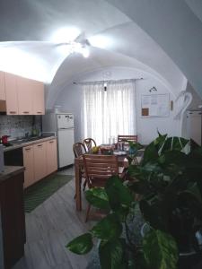 une cuisine et une salle à manger avec une table et une plante dans l'établissement Tourist House La Castellana, à Catane