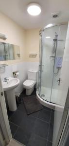 W łazience znajduje się prysznic, toaleta i umywalka. w obiekcie Palm Court w Bournemouth
