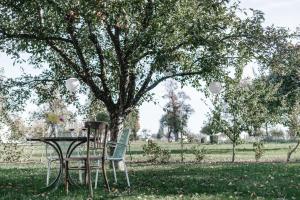 2 Stühle und ein Tisch vor einem Baum in der Unterkunft Haizing 26 in Haizing