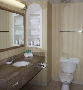 een badkamer met een wastafel, een toilet en een spiegel bij Holiday Inn Express - Spring Hill FLORIDA, an IHG Hotel in Spring Hill