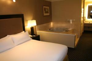 a hotel room with a large bed and two lamps at Holiday Inn Express San Pablo - Richmond Area, an IHG Hotel in San Pablo