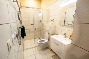 uma casa de banho com um WC, um chuveiro e um lavatório. em Wonderful flat on city center (Mukachivska 4/16) em Uzhhorod