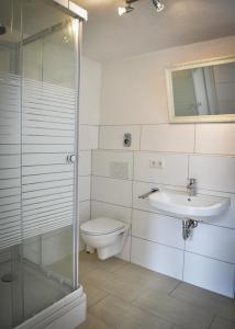 a bathroom with a toilet and a sink and a shower at Schinderhannes in Waibstadt