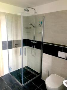 y baño con ducha y aseo. en Luxury Keilberg Apartment, en Loucná pod Klínovcem