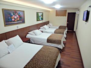 Ein Bett oder Betten in einem Zimmer der Unterkunft Hotel Newen