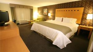 a hotel room with a large bed and a television at Holiday Inn Express & Suites Monterrey Aeropuerto, an IHG Hotel in Monterrey