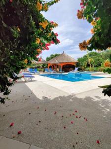 una piscina del complejo con flores rojas en el suelo en B & B Mariamacounda en Toubakouta