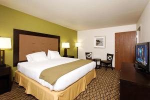 a hotel room with a large bed and a flat screen tv at Holiday Inn Express Hotel & Suites Montrose - Townsend, an IHG Hotel in Montrose