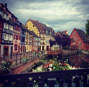 a city with buildings and a river with flowers at Cosy and You in Colmar