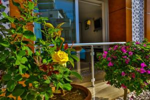 a group of flowers in pots on a balcony at Hotel Sonne - Adults Only in Kaş