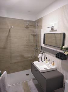 a bathroom with a sink and a shower at Apartamento Urieli in Santander