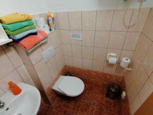 Kúpeľňa v ubytovaní Penzion Nad jezerem