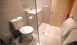 a bathroom with a toilet and a sink at Flinders Landing Apartments in Melbourne