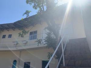 南聖洛倫索的住宿－Ap beira da Praia das Ondinas，前面有棵树的建筑