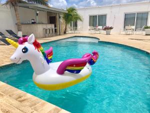 una piscina con un unicornio flotando en el agua en Genesis Apartments, en Palm-Eagle Beach
